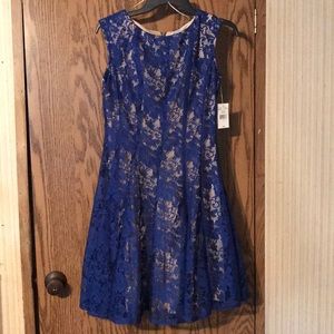 Blue and nude lace dress